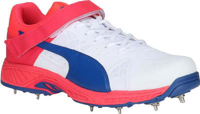 

Puma evoSPEED Cricket B Outdoors For Men(White