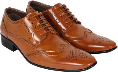 

Ambrogio Amore Derby For Men(Brown