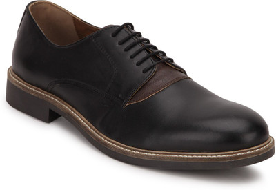 

Knotty Derby Burbage Casual Shoes For Men(Black, Brown