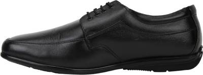 Cognisol Basic Lace Up