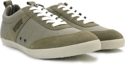 Levi's Sneakers For Men(Beige, Olive, Green), Brown