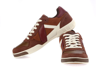 

Sparx Awesome Brown Canvas Shoes For Men(Brown