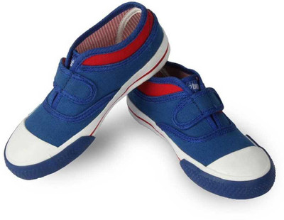 

Beanz Boys(Blue, Navy/white