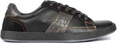 Spunk Sneakers