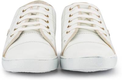 Gekko Sneakers