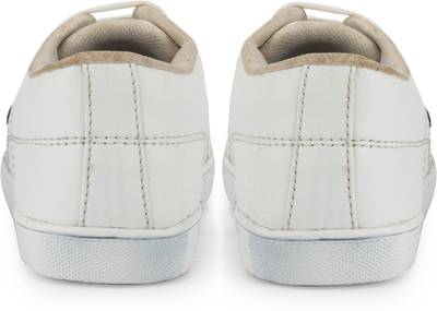 Gekko Sneakers