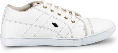 Gekko Sneakers