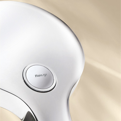 

Grohe Euphoria Shower Head