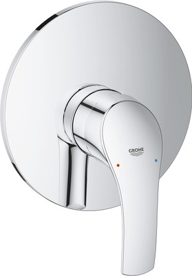 

Grohe Eurosmart Shower Head