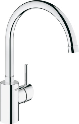 

Grohe Concetto Shower Head