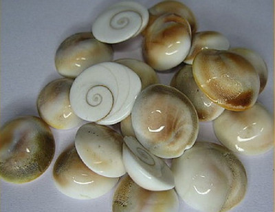 

PlusValue Gomti Chakra - 11pc Decorative Showpiece - 2 cm(Stoneware, Brown)