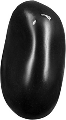 

Shaligram Shala Sarvottam Shweta Ram Sita Decorative Showpiece - 4.4 cm(Stoneware, Black)