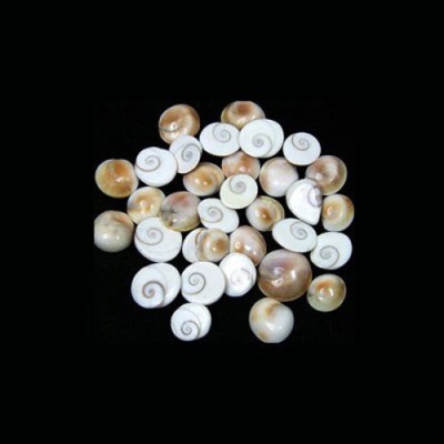 Sitare Very Small Size Natural Gomti Chakra 5 Pieces GC05b Decorative Showpiece  -  2 cm(Stone, White)