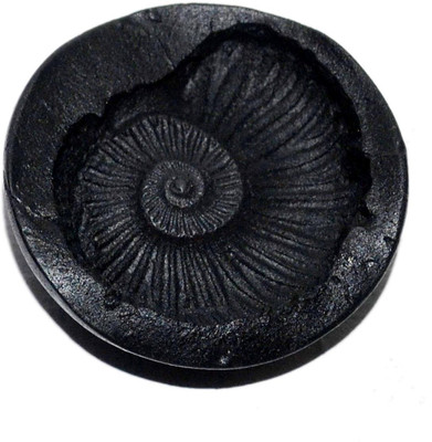 

Real Seed Shaligram Shala Sacred Adwaitya Laxmi Shankh Surya Sudershan Decorative Showpiece - 3 cm(Stoneware, Black)