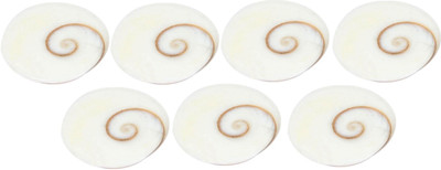 Pratimah Natural Gomti Chakra Decorative Showpiece  -  2 cm(Stone, White)