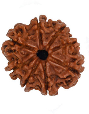 

Six Mukhi Rudraksha Decorative Showpiece - 2 cm(Wooden, Brown)
