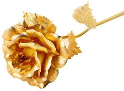 

goyam Artificial Flower Gift Set
