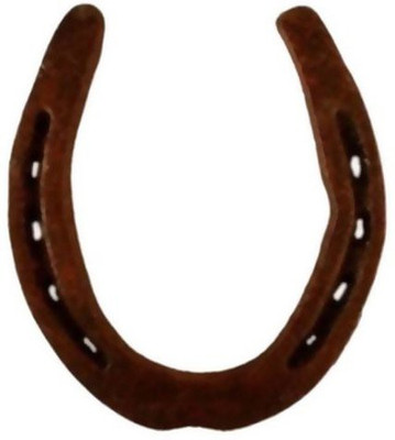 

Amrit Sanjivani Horse Shoe Decorative Showpiece - 2 cm(Iron, Black)