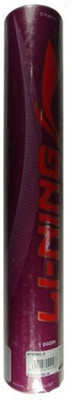 

Li-Ning Champ Feather Shuttle - White(Slow, 76, Pack of 12)