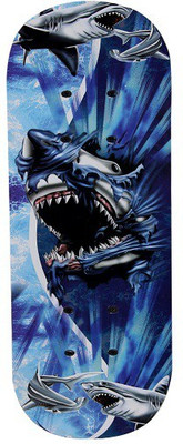 

Skera BLUE WHALE Skate Board 24'' 6 inch x 24 inch Skateboard(Multicolor, Pack of 1)