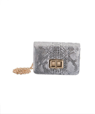 

Peaubella Women Evening/Party Silver PU Sling Bag