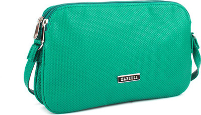 

Caprese Women Casual Green Sling Bag