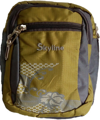 

Skyline Men & Women Casual Green Polyester Sling Bag