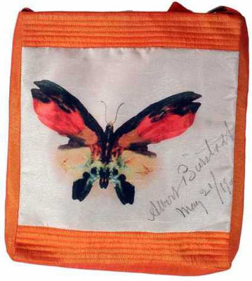 

The Museum Outlet Girls Casual Multicolor Canvas Sling Bag