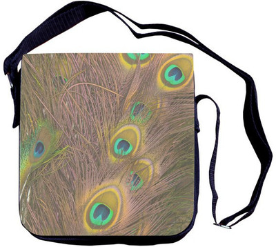 

Shaildha Women Casual Multicolor Canvas Sling Bag