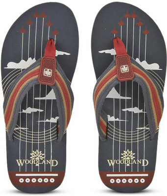 

Woodland Flip Flops, Blue