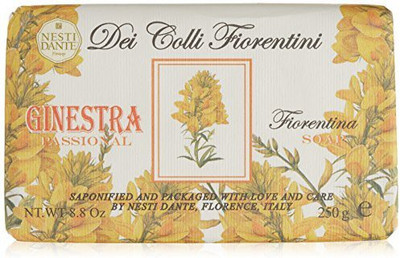 

Nesti Dante Broom () Soap - Made in Italy(250 g, Pack of 2)