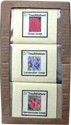 

Touch Nature Flower Basket(300 g, Pack of 3)