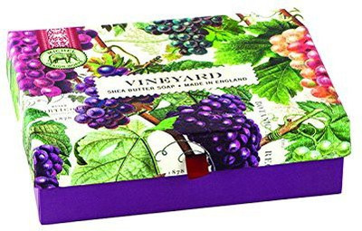 

Michel Design Works Triple Milled Double Soap Bar Boxed Set, Vineyard(127.53 g)