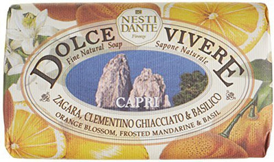 

Nesti Dante Dolce Vivere Capri Bar Soap(250 g)