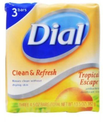 

Dial Tropical Escape Antibacterial Deoderant Soap Bar 3 Count (Pack of 3)(382 g, Pack of 3)