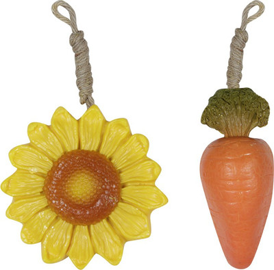 

Around the World Sunflower and Carrot Soap(200 g, Pack of 2)