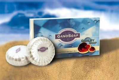 

Gano Excel Gano Soap(210 g, Pack of 2)