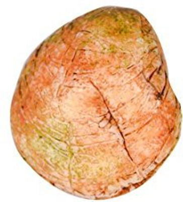 Dogwood Soaps Clam A- Orange And White - Hand-millled, Double-milled Soap(100 g)