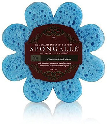 

Spongelle Citrus Accord Musk Infusion(120 g)