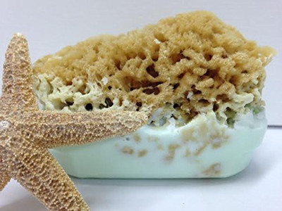 

Mother Ocean Naturals Goat's Milk and Olive Oil Soap Bar with Attached Natural Organic Sea Sponge. *Hand Crafted in Florida* *All Natural Moisturizing Soap* Great Gift! Perfect Shower Sponge! All Natural Bath Sponge and Natural Bath Bar. *The Best Sea Spo