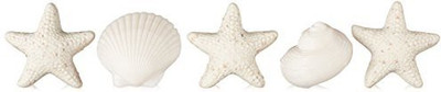 

Gianna Rose Seashell Soaps In Slider Box(20 g, Pack of 5)