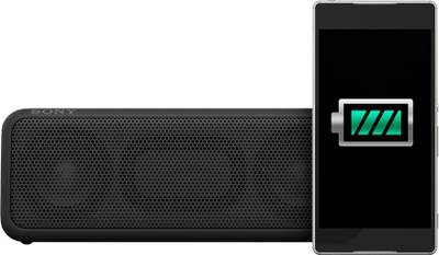 Sony SRS-XB3 Portable Bluetooth Speakers (Black, 2 Channel) 