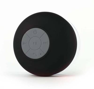 Selvel BTS-06 Shower Bluetooth Portable Bluetooth Mobile/Tablet S...