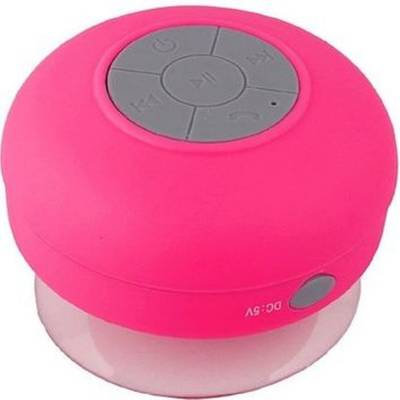 Selvel BTS-06 Shower Bluetooth Wireless Portable Bluetooth Mobile...