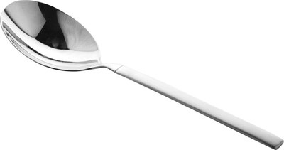 

BSF Stainless Steel Serving Spoon(Pack of 1)