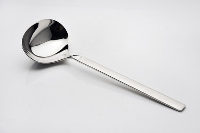 

BSF Stainless Steel Serving Spoon(Pack of 1)