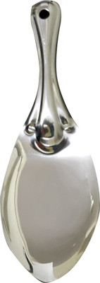 Dynore Stainless Steel Serving Spoon(Pack of 1)
