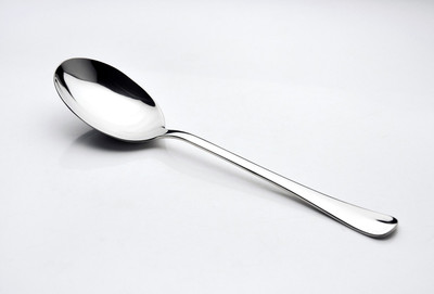 

BSF Stainless Steel Serving Spoon(Pack of 1)