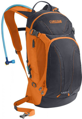 

CamelBak Mule Hydration Pack Sports Bag(Multicolor, Backpack), Black;orange
