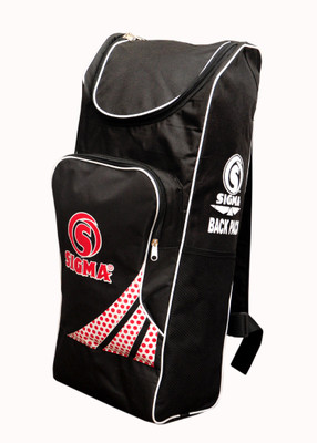 

Sigma Backpack Bag(Multicolor, Backpack